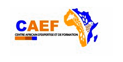 Cabinet d'Expertise International en Suivi et Évaluation